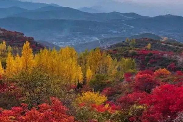 2021嵩山紅葉最佳觀賞路線及最佳觀賞時間