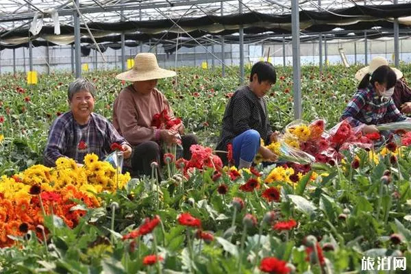 江陰顧山紅豆村八大碗都有哪些菜