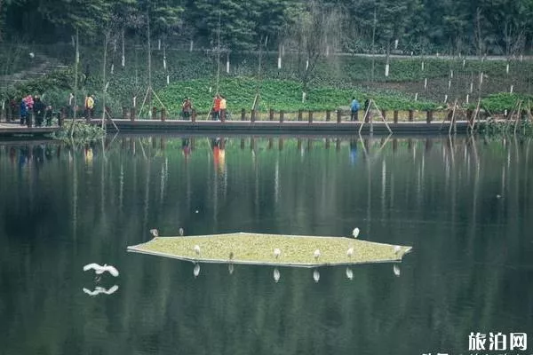 重慶彩云湖濕地公園可以釣魚嗎