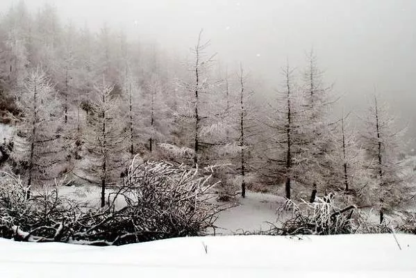 重慶看雪景的最佳地點(diǎn) 重慶哪里可以看雪景