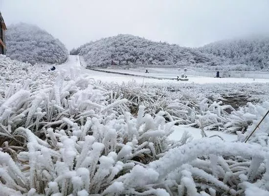 重慶看雪景的最佳地點(diǎn) 重慶哪里可以看雪景