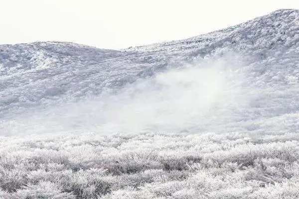 重慶看雪景的最佳地點(diǎn) 重慶哪里可以看雪景