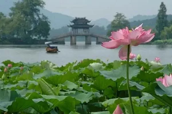 西湖怎樣游玩可以不留遺憾 西湖一日游觀光指南