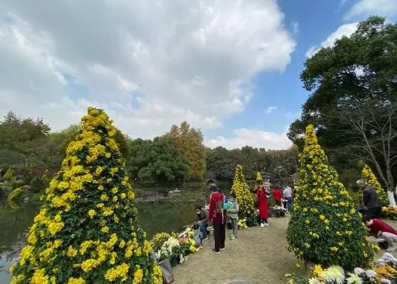 2021杭州菊花展是什么時(shí)間-門票價(jià)格