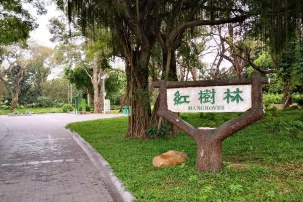 深圳有幾個紅樹林公園 深圳紅樹林<a href='/jingdian/' target=_blank>景點</a>推薦