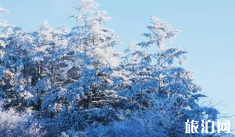 峨眉山冬季旅游攻略  峨眉山有什么特點