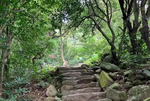 廣東十大最美森林旅游目的地 梧桐山游玩路線推薦