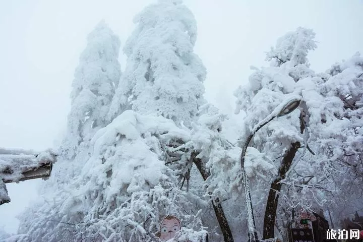 峨眉山冬季旅游攻略  峨眉山有什么特點