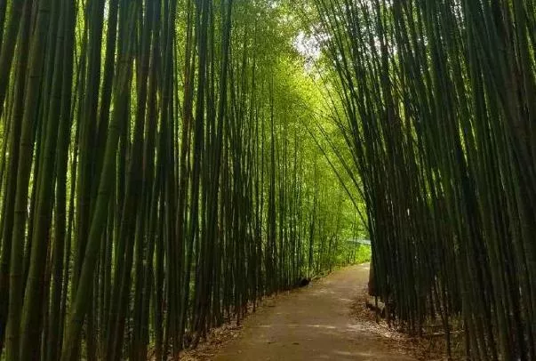 欒川冬季旅游哪兒好玩