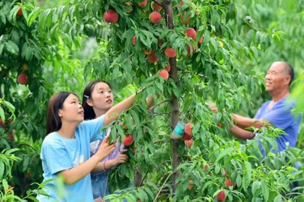 西柏坡景區(qū)附近美食推薦