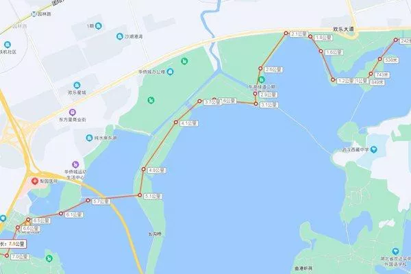 武漢東湖綠道騎行攻略 這8大路線大家可以試試