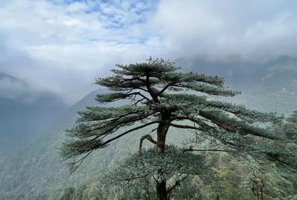 湖南五一旅游最佳去處