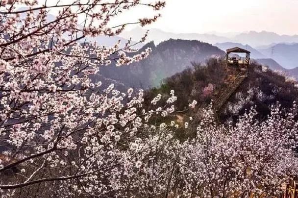 北京四月赏花去哪里