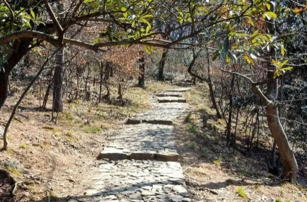 無(wú)錫徒步登山的地方 有哪些好去處