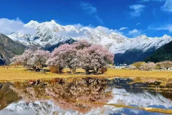 西藏哪里的風景最好看 最好的風景在哪里