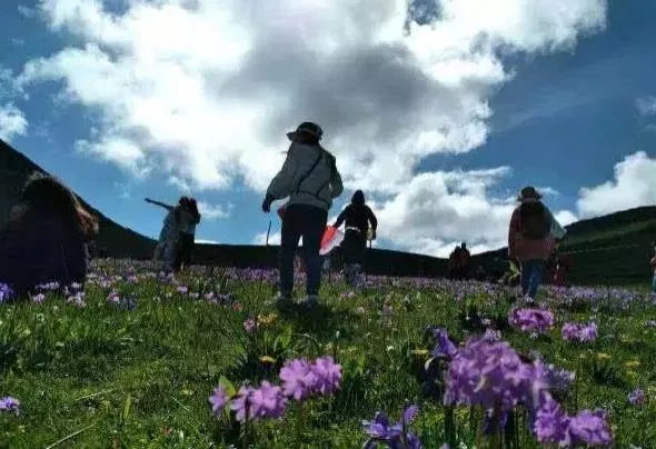 成都周邊自駕游去哪里比較好