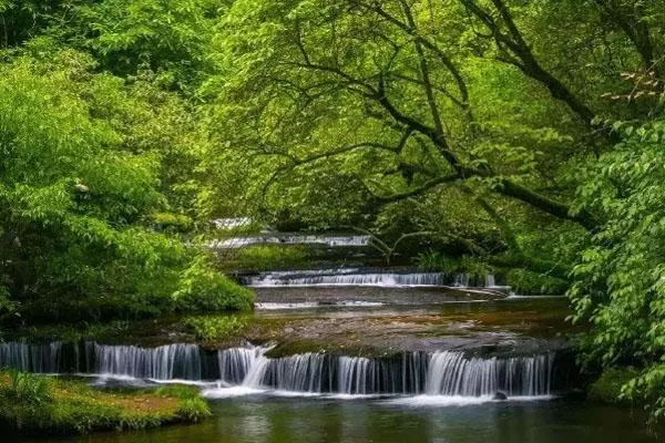 邛崍?zhí)炫_山在哪里 地址及交通指南