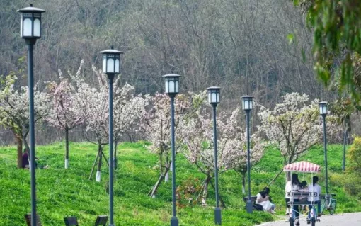 成都繞城綠道騎行路線