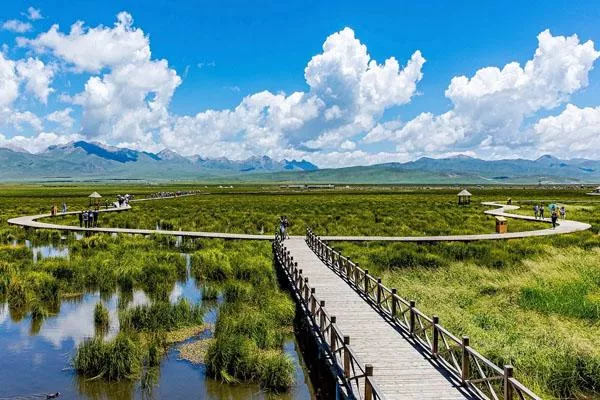 若爾蓋花湖最佳旅游時間 附門票價格