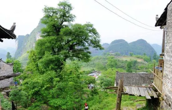 深圳周邊自駕游推薦 深圳周邊自駕游景點