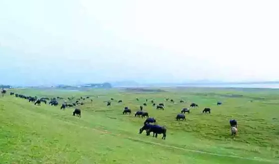 深圳周邊自駕游推薦 深圳周邊自駕游景點