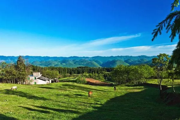 2022武隆仙女山門票多少錢一張 附游玩項(xiàng)目門票價格