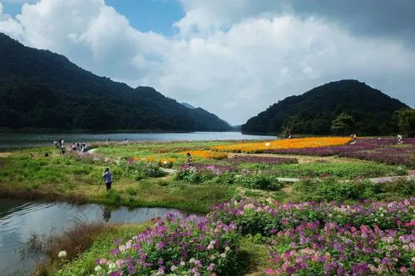 南寧公園景點(diǎn)推薦 有哪些值得去