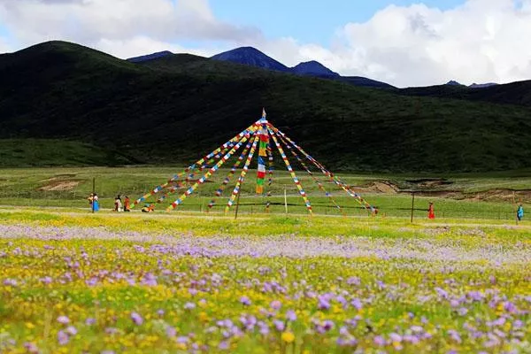 若爾蓋花湖最佳旅游時間 附門票價格