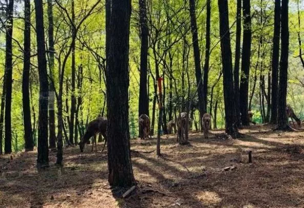 常州爬山的地方有哪些 登山好去處