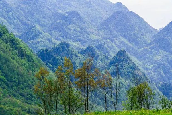 重慶周邊八個(gè)涼快又好玩的景點(diǎn)推薦