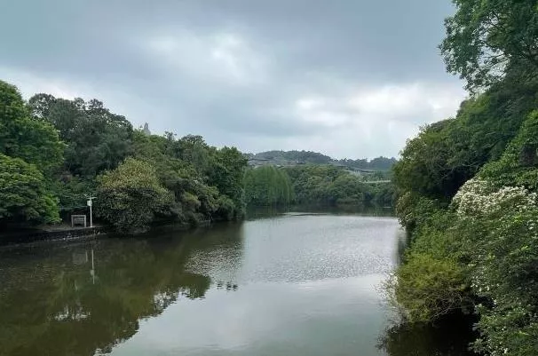 佛山三日旅游自駕游攻略