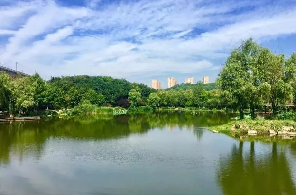 南京郊野公園有哪些適合孩子玩的地方推薦