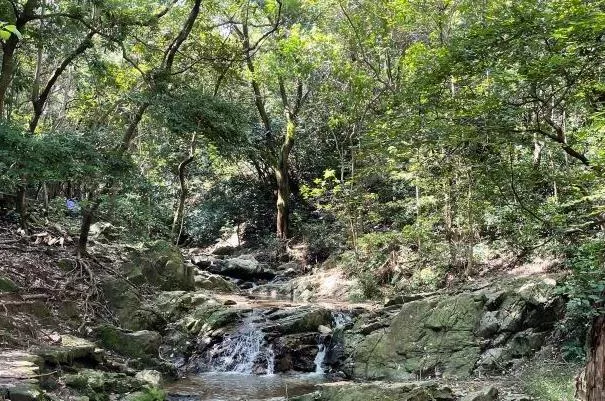 深圳鳳凰山徒步路線怎么走