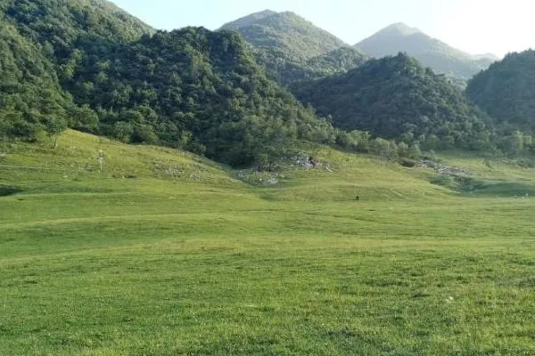 巫溪紅池壩風景區(qū)最佳旅游時間