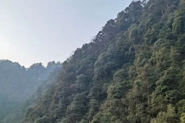 四面山一日游怎么玩 必去景點有哪些