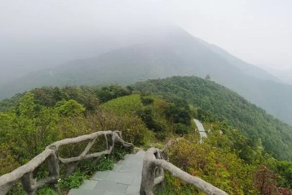 梧桐山徒步登山路線攻略