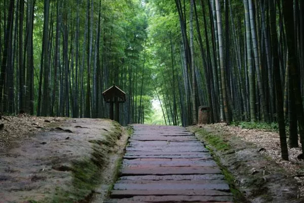 自駕游四川省內(nèi)旅游最佳路線 5條自駕游最美路線推薦