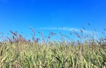 月坨島好不好 月坨島旅游怎樣 月坨島有什么好玩的 月坨島在哪兒