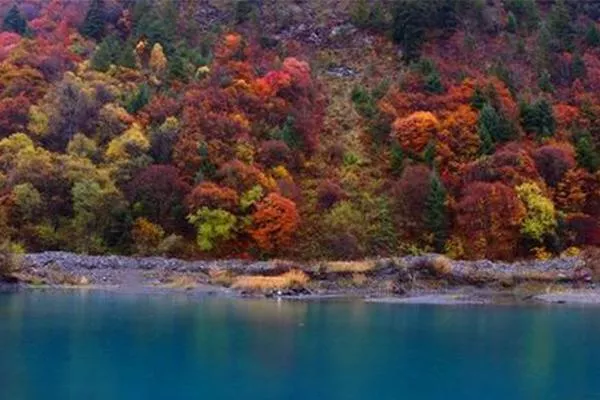 四川米亞羅紅葉風(fēng)景區(qū)最佳旅游時(shí)間 自駕游攻略