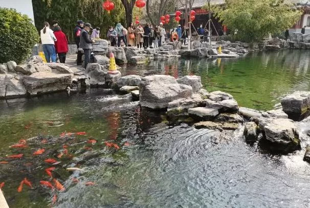 趵突泉公園開放時間