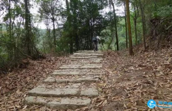 岐澳古道入口在哪 岐澳古道游記