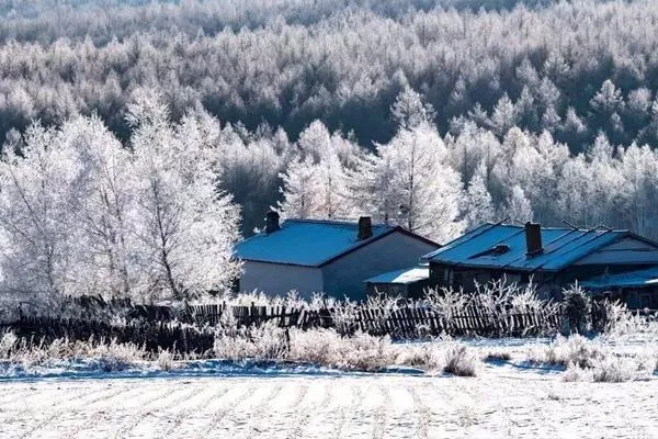 大興安嶺下雪了嗎現(xiàn)在 冬天去大興安嶺玩什么