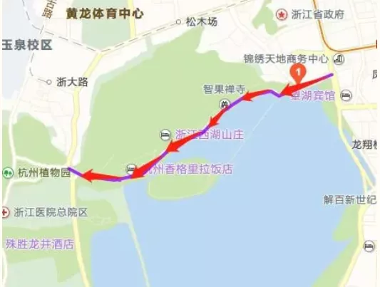 2020杭州落葉不掃路段匯總