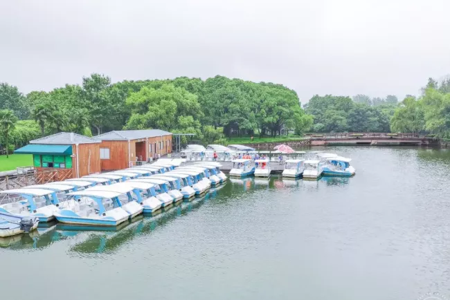 7月1日起上海濱江森林公園、共青森林公園及世紀公園免費開放