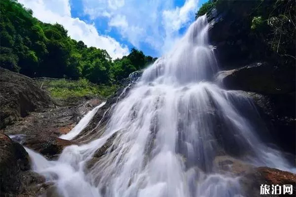 武平梁野山景區(qū)介紹 露營怎么樣-交通指南