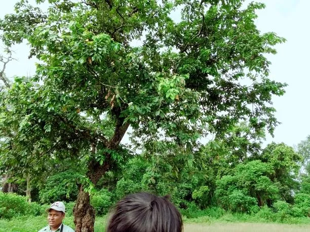 尼泊爾旅游安全嗎 尼泊爾最近旅游安全嗎