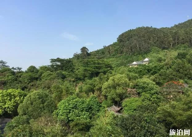 東莞水濂山森林公園有什么好玩的 游玩攻略