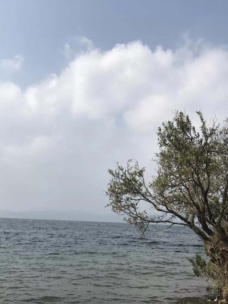 杞麓湖國(guó)家濕地公園自助旅游攻略