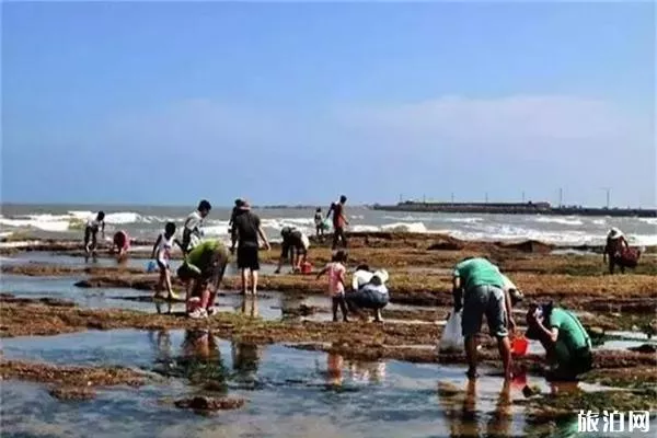 吳家臺趕海園在吳家臺村嗎 要錢嗎