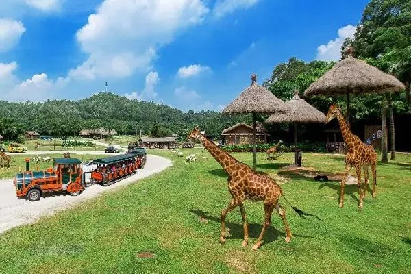 廣州長隆野生動物園游玩路線攻略